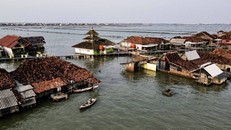 Biến đổi khí hậu đang “nhấn chìm” một ngôi làng ở Indonesia 