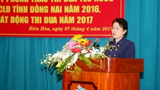 Cảnh cáo Phó Bí thư Đồng Nai vì vi phạm Luật Phòng chống tham nhũng