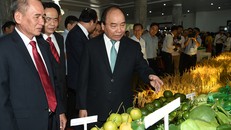 Thủ tướng Nguyễn Xuân Phúc dự hội nghị xúc tiến đầu tư tỉnh Hậu Giang.