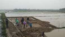 Các nhà khảo cổ học đang tiến hành khai quật tại hiện trường. (Ảnh: Báo Hà Tĩnh)