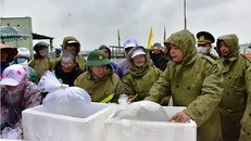 Lãnh đạo Bộ NN&PTNT, tỉnh Thừa Thiên Huế và Đoàn công tác tiến hành thả cá tái tạo nguồn lợi thủy sản. Ảnh: HN/Nhân Dân