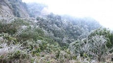 Dự báo thời tiết vùng núi cao phía Bắc trong đêm nay và ngày mai trời tiếp tục rét hại, khả năng xuất hiện băng giá, sương muối. (Nguồn: TTXVN)