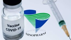 Vaccine ngừa COVID-19 do công ty Sinopharm của Trung Quốc sản xuất. Ảnh: AFP/TTXVN