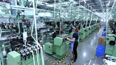 (Ảnh minh hoạ: Vietnamplus)