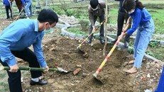 Đoàn viên thanh niên Thanh Hóa trồng cây tại xã Cẩm Quý, huyện Cẩm Thủy. (Ảnh: Tiền Phong)