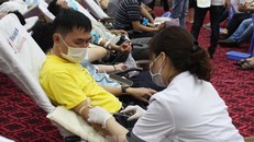 Các đơn vị máu tiếp nhận trong chương trình hiến máu tình nguyện tại Đà Nẵng sẽ được vận chuyển ra Viện Huyết học - Truyền máu TƯ (Hà Nội), góp phần hỗ trợ giải quyết tình trạng thiếu hụt máu điều trị bệnh ở khu vực phía Bắc. (Ảnh: Tiền Phong) 