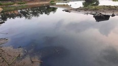 Tình trạng ô nhiễm nghiêm trọng tại hồ điều hoà Vinh Tân. (Ảnh: Tiền Phong)