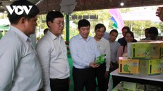 Chương trình mỗi xã một sản phẩm (OCOP) đã kích hoạt và đánh thức được khu vực nông thôn, nhiều sản phẩm từ tài nguyên bản địa được ra đời, tinh thần khởi nghiệp lan tỏa. (Ảnh: VOV)