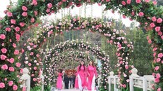 3 trải nghiệm nghỉ dưỡng độc đáo giữa thiên đường hoa ven biển tại Thanh Hóa