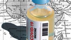 (Ảnh minh hoạ: New York Times)