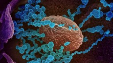 (Ảnh minh hoạ: SCMP)