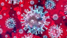Cảnh báo về làn sóng lây nhiễm COVID-19 thứ tư