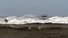 (Ảnh minh hoạ: TTXVN)