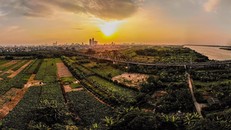 Cầu Long Biên. (Ảnh: TTXVN)