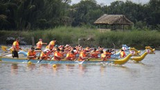 Các đội thi đấu ở nội dung thuyền 10 tay chèo nam, thuyền 10 tay chèo nữ, thuyền 10 tay chèo nam nữ phối hợp, thuyền 20 tay chèo nam, thuyền 20 tay chèo nam nữ phối hợp. (Ảnh: TTXVN)
