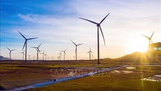 Tổ hợp điện năng lượng tái tạo của Tập đoàn Trung Nam đầu tư tại huyện Thuận Bắc (Ninh Thuận). Ảnh minh họa: Công Thử/TTXVN 