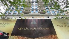 Dự án D’. Palais Louis của Tập đoàn Tân Hoàng Minh ở quận Cầu Giấy, Hà Nội .(Nguồn: nld.vn) 