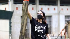 Tăng Thanh Hà cùng nhiều ngôi sao chăm sóc gấu tại Tam Đảo 