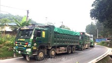 Đoàn xe chở quá tải trọng tại Yên Bái. (Ảnh: TTXVN)