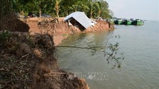 Hiện trường vụ sạt lở nghiêm trọng tại khu vực bờ sông Tiền, thuộc khóm Sở Thượng, phường An Lạc, thị xã Hồng Ngự, tỉnh Đồng Tháp. Ảnh (tư liệu): Chương Đài/TTXVN 