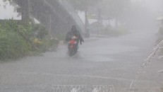 (Ảnh minh họa: TTXVN)