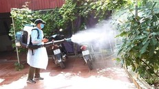 Một số tỉnh/thành phố ghi nhận nhiều trường hợp tử vong do sốt xuất huyết.