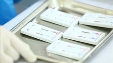 Ảnh minh họa: TTXVN