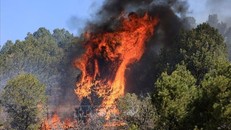 Lửa bốc ngùn ngụt tại đám cháy rừng ở Mỹ. Ảnh: Reuters/TTXVN