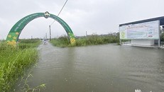 Nước ngập khá sâu tại vùng rau La Hường ở Đà Nẵng. (Nguồn: Báo Đà Nẵng) 