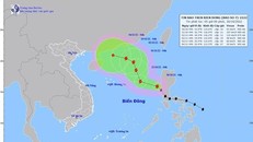 Bão số 7 giật cấp 12, có xu hướng mạnh dần lên