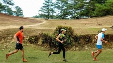 Giải chạy bộ địa hình Lâm Đồng Trail 2022 bao gồm cự ly 10km, 21km, 45km và 70km. (Ảnh: Ban Tổ chức)