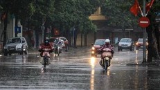 (Ảnh minh họa. Thành Đạt/TTXVN)