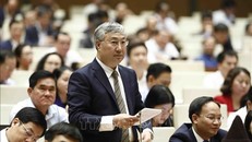 Đại biểu Quốc hội tỉnh Bắc Giang Trần Văn Lâm. Ảnh: An Đăng/TTXVN