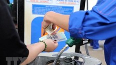 Mua bán xăng dầu tại cửa hàng Petrolimex trên đường Trần Quang Khải, Hà Nội. (Ảnh: Trần Việt/TTXVN)