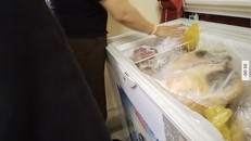 Tủ đông chứa các loại thịt chồn, sơn dương, lợn rừng… của Tuyến - một đối tượng buôn bán động vật hoang dã.