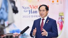 Bộ trưởng Ngoại giao Bùi Thanh Sơn trả lời phỏng vấn. (Ảnh: TTXVN/phát)