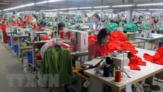 Công nhân Nhà máy may xuất khẩu Sơn Hà (thị xã Bỉm Sơn) bị giảm thu nhập do công ty thiếu đơn hàng. (Ảnh: Nguyễn Nam/TTXVN) 