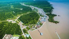 Khu dự trữ sinh quyển thế giới Mũi Cà Mau. (Ảnh: Trọng Đạt/TTXVN)