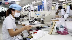 Công nhân làm việc trong xưởng may hàng xuất khẩu tại Garco 10, Tổng Công ty May 10. Ảnh minh họa: Trần Việt/TTXVN 