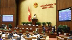 (Ảnh: Doãn Tấn/TTXVN)