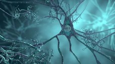 Ảnh minh họa. (Nguồn: Getty images)