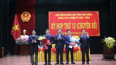 Lãnh đạo tỉnh Cao Bằng chúc mừng ông Trịnh Trường Huy (thứ hai, từ trái sang) được bầu giữ chức Phó Chủ tịch UBND tỉnh Cao Bằng. (Ảnh: Chu Hiệu/TTXVN)