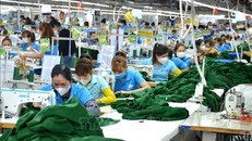 Hoạt động sản xuất diễn ra sôi nổi sau kỳ nghỉ Tết tại Công ty TNHH Pi Vina Đà Nẵng (Khu công nghiệp Hòa Khánh). Ảnh: Quốc Dũng/TTXVN