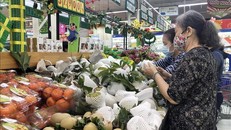 Ảnh (tư liệu): Mỹ Phương/TTXVN