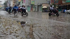 Thời tiết nồm ẩm kèm theo mưa phùn. (Ảnh: PV/Vietnam+)