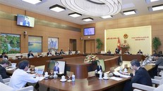 Quang cảnh Phiên họp thứ 21 Ủy ban Thường vụ Quốc hội. (Ảnh: Doãn Tấn/TTXVN)