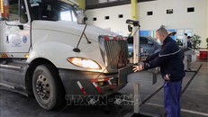 Kiểm định xe tại Trung tâm Đăng kiểm 15-02S, Hải Phòng. Ảnh minh họa: Hoàng Ngọc/TTXVN 