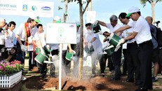 Hơn 110.000 cây xanh được trồng tại Bà Rịa Vũng Tàu