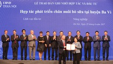 Vinamilk đẩy mạnh chăn nuôi bò sữa công nghệ cao ở Hà Nội 