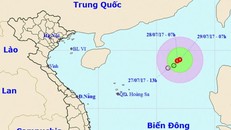 Một số chuyến bay đi và đến Đài Loan bị ảnh hưởng bởi bão Nesat